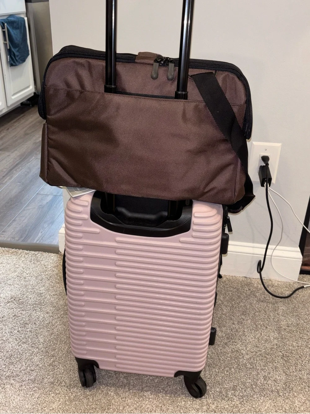 Sleepypod Atom Crash-Tested Cat/Dog Carrier | Airline Approved
